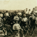 Black and white photograph of 16 children, mostly if not all boys, standing in a tobacco field.